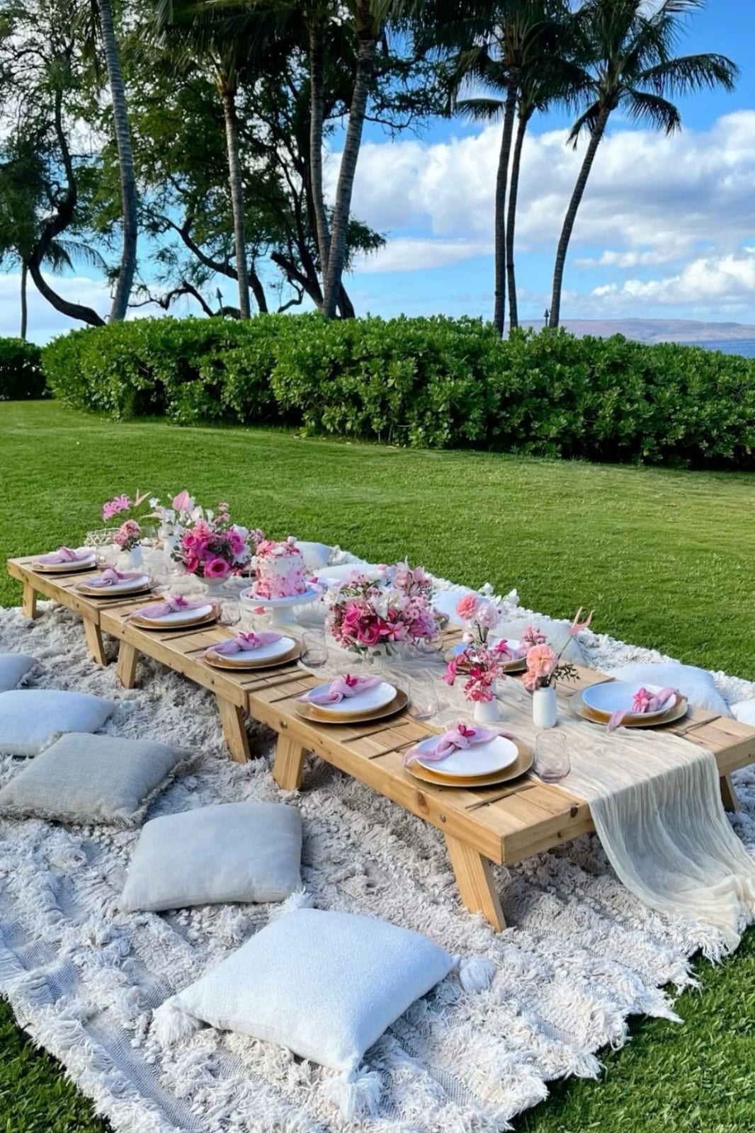Low picnic table with cushions and styling