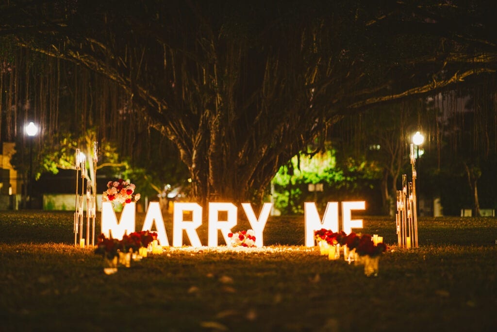 Light-up 'Marry Me' letters glowing among the trees at night